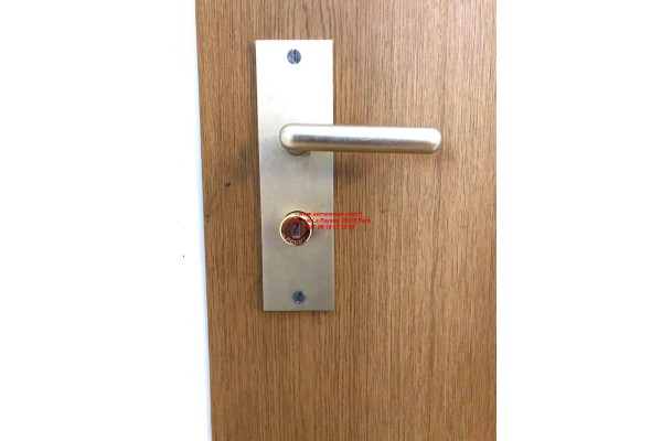 poignee fichet palieris